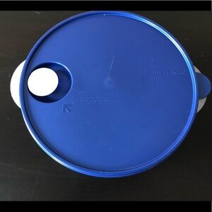 Tupperware Vintage Large Divided Microwave Dish